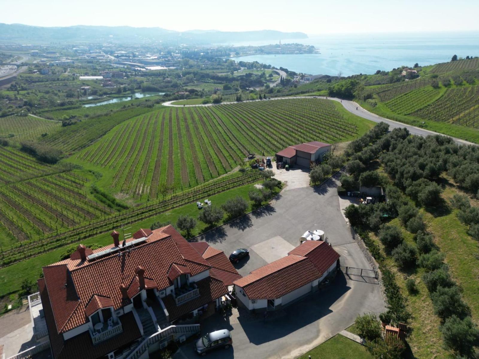 Sea Apartment Izola Dış mekan fotoğraf
